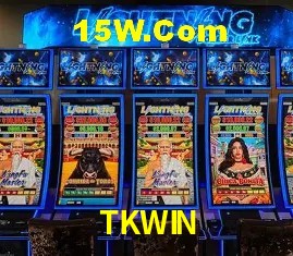 Security Systems TKWIN